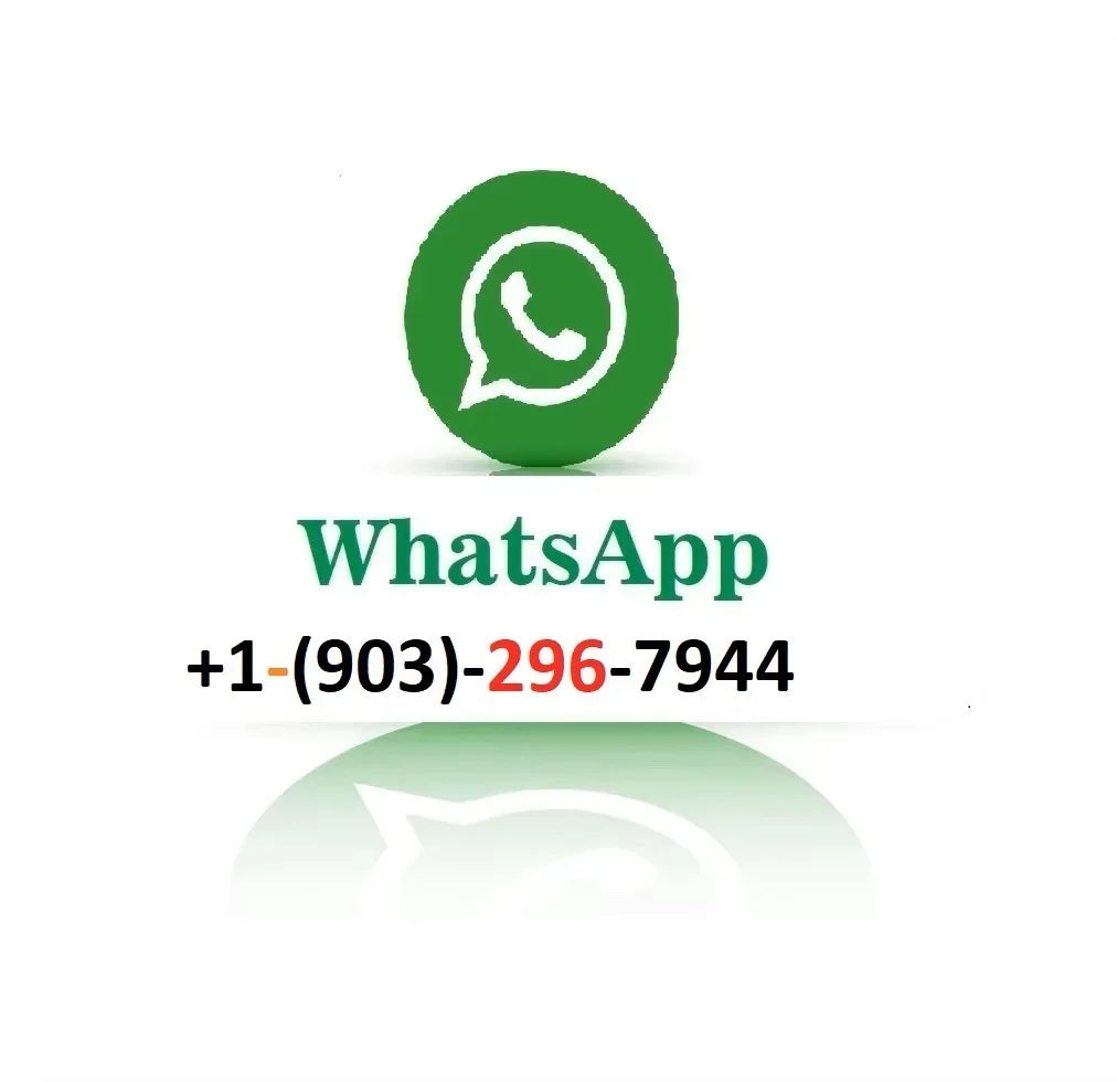 PROMO SALES ZOTAC GAMING GeForce RTX 5090 SOLID OC ZOTAC